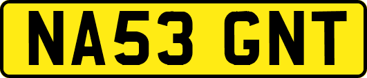 NA53GNT