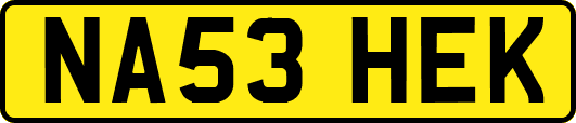 NA53HEK