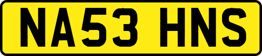 NA53HNS