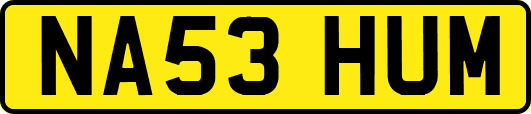 NA53HUM
