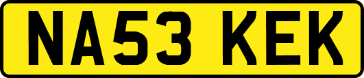 NA53KEK