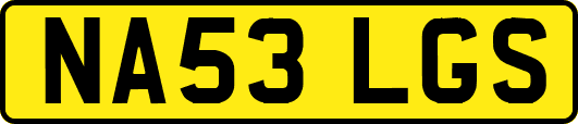 NA53LGS