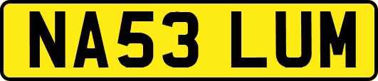 NA53LUM