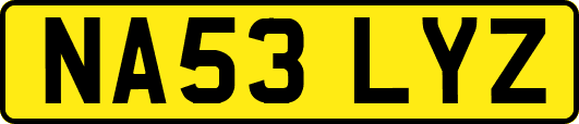 NA53LYZ