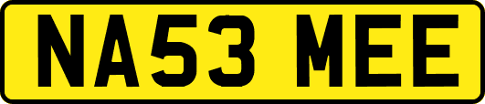 NA53MEE