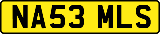 NA53MLS