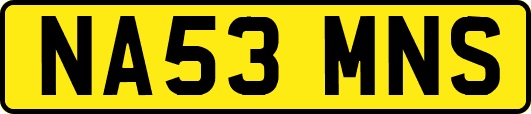 NA53MNS