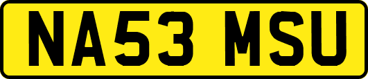 NA53MSU