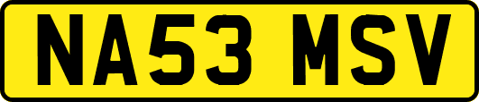 NA53MSV