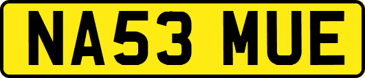 NA53MUE