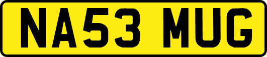 NA53MUG