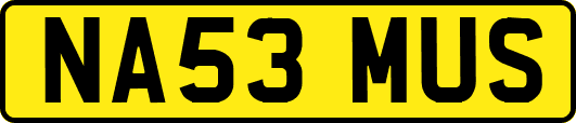 NA53MUS