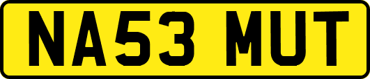 NA53MUT