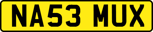 NA53MUX