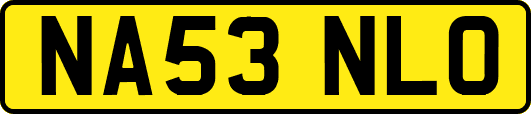 NA53NLO