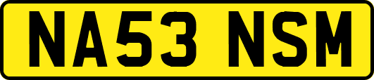 NA53NSM