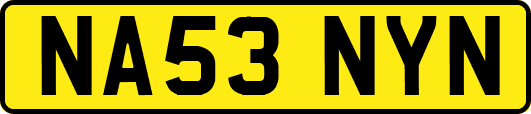 NA53NYN
