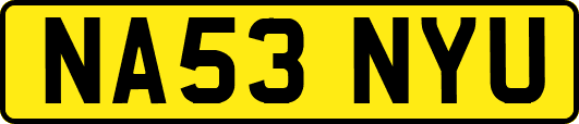 NA53NYU
