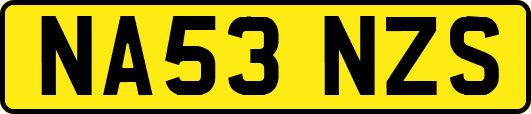 NA53NZS