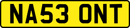NA53ONT