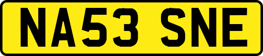 NA53SNE