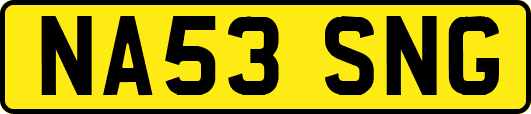 NA53SNG