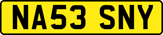 NA53SNY