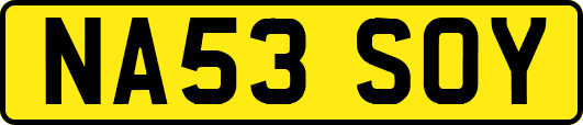 NA53SOY