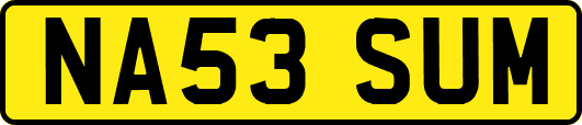 NA53SUM
