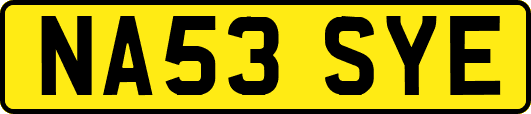 NA53SYE