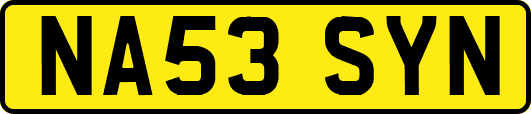 NA53SYN