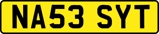 NA53SYT