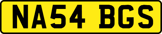 NA54BGS