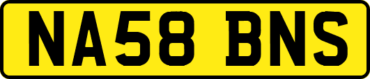 NA58BNS