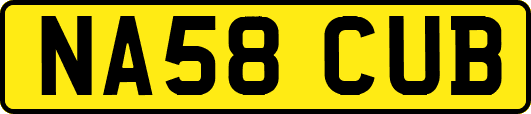 NA58CUB