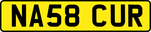 NA58CUR