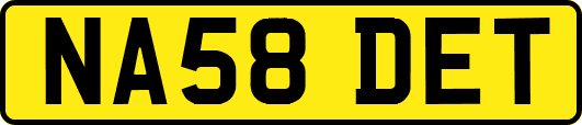 NA58DET