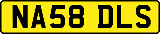 NA58DLS