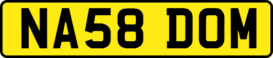 NA58DOM