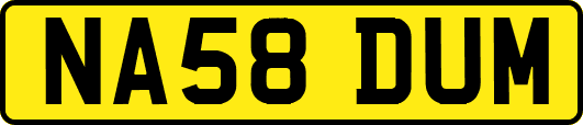 NA58DUM