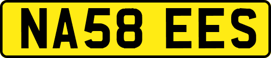 NA58EES