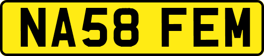 NA58FEM