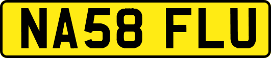 NA58FLU