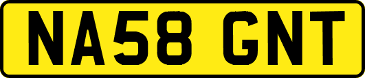 NA58GNT