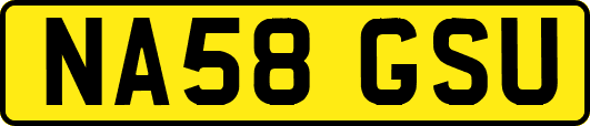 NA58GSU