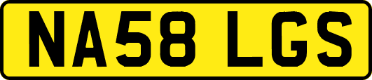 NA58LGS