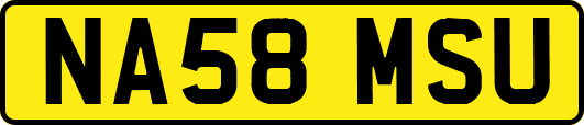 NA58MSU