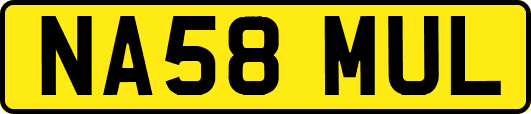 NA58MUL