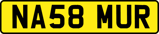NA58MUR