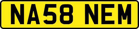 NA58NEM